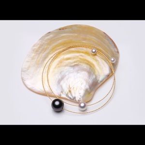 Meet your Posher, Jinny